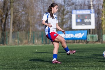 Bild 107 - F Hamburger SV 3 - Blau-Weiss 96 : Ergebnis: 5:1